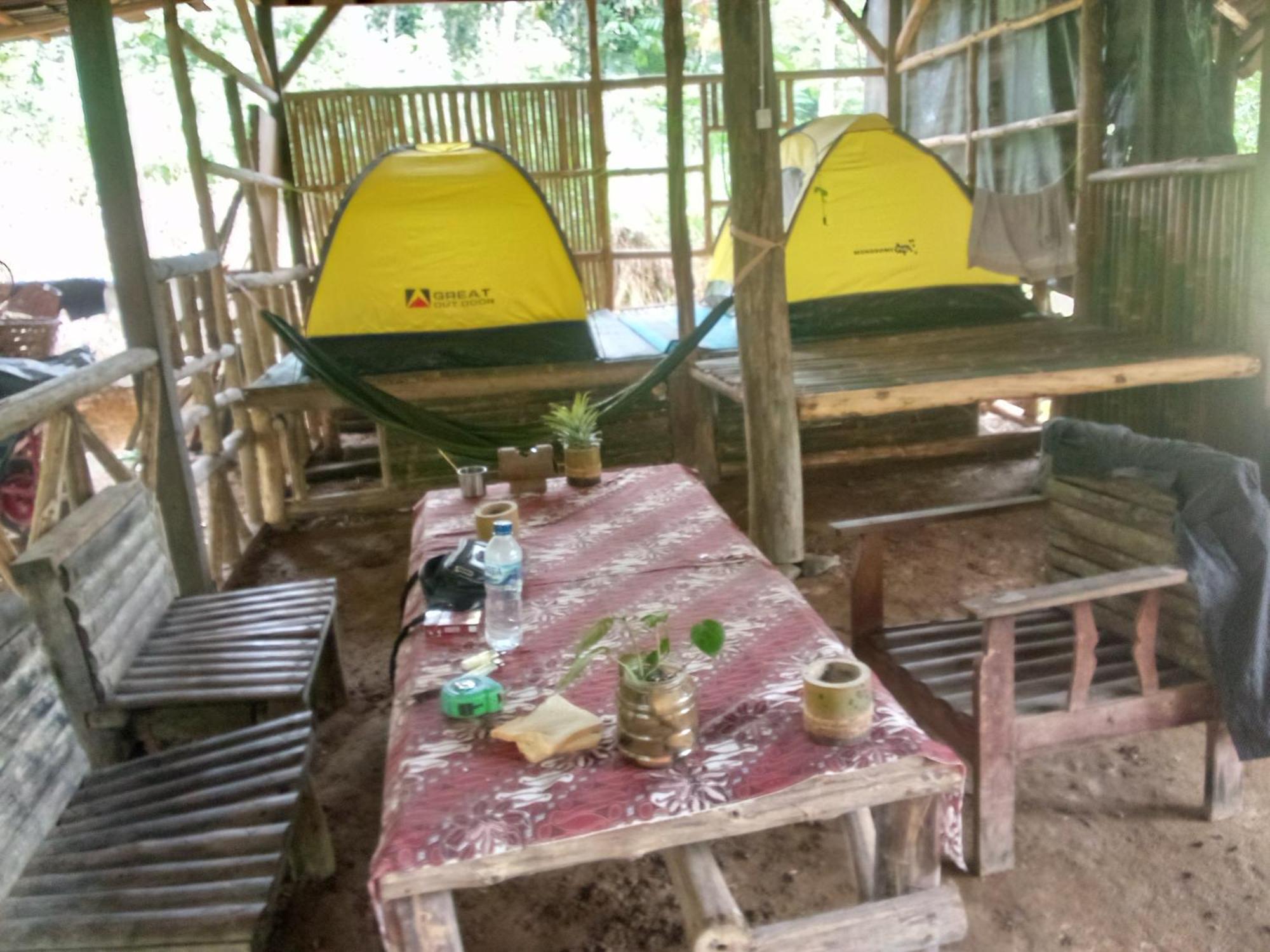 Landak River Guest House Only Trekking With Us Bukit Lawang Exterior photo