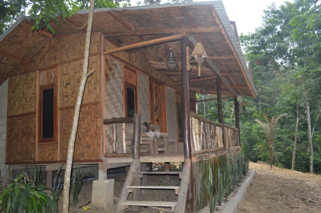 Landak River Guest House Only Trekking With Us Bukit Lawang Exterior photo